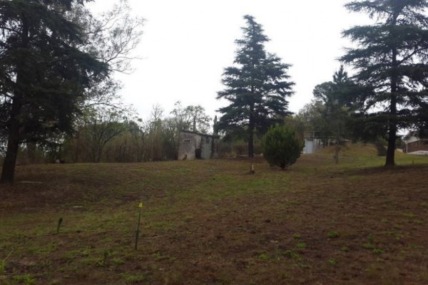 Terreno