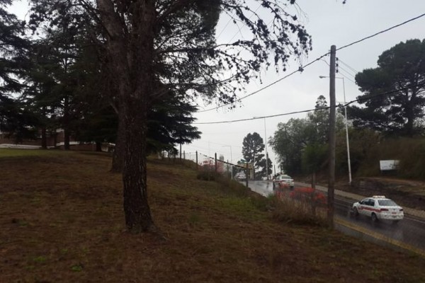 Terreno