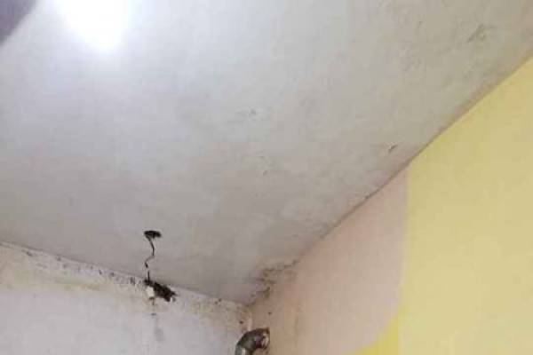 Inmueble con dos departamentos independientes de 2 dormitorios y uno respectivamente