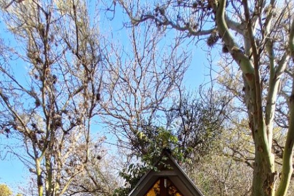 CABAÑAS EN SANTA INES A 8 KM DE CAPILLA DEL MONTE 