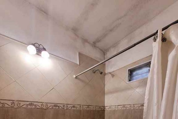 Casa 1 dormitorio amplio estar comedor, estructura con techo a terminar 
