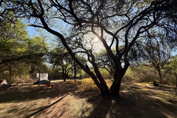 CONJUNTO CABAÑAS EN SANTA INES - CHARBONIER 