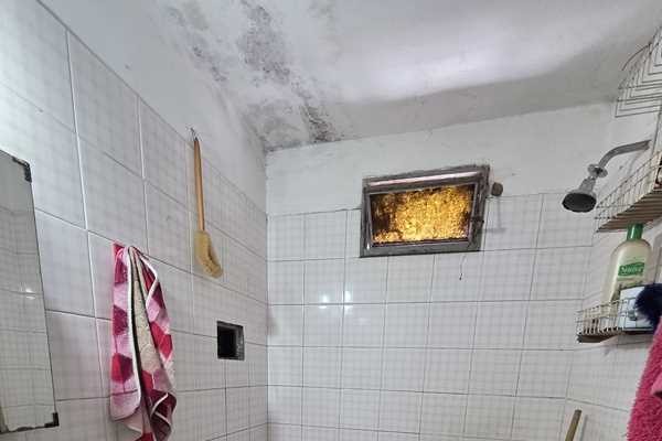 Oportunidad para reciclar - 2 casas y un Departamento, sobre Av Los Sauces 
